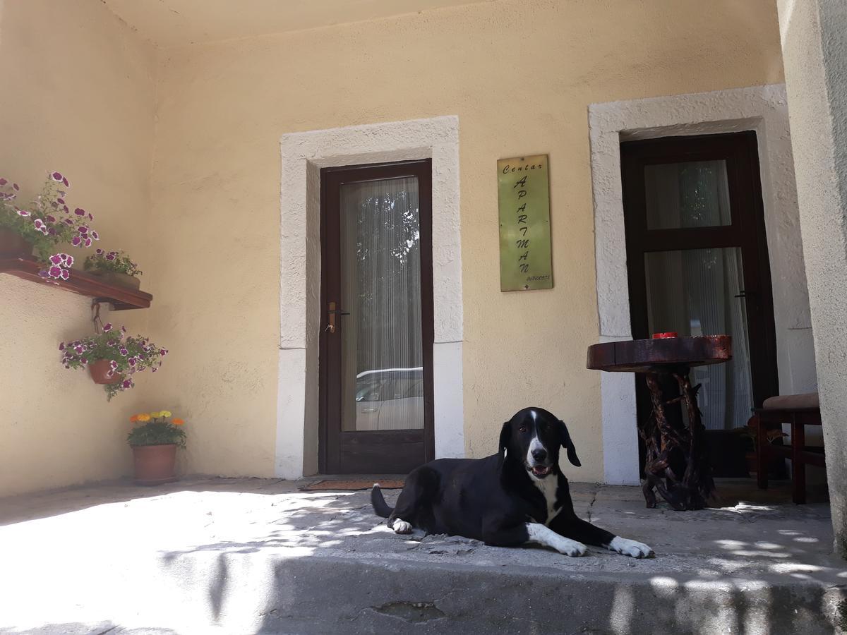 Apartman Centar Cetinje Exterior foto