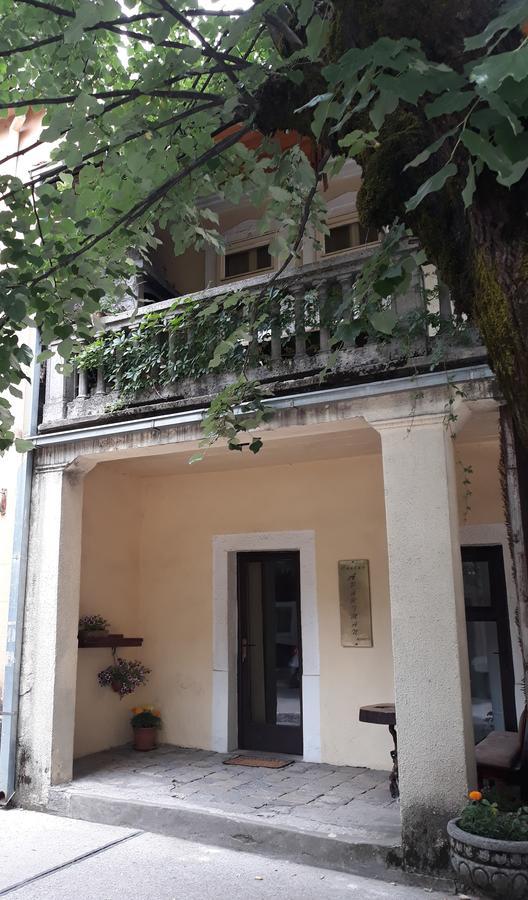 Apartman Centar Cetinje Exterior foto